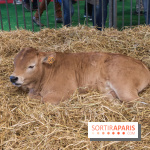 Salon de l'agriculture 2023