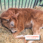 Salon de l'agriculture 2023 - 20230227160822 IMG 3948