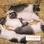 Salon de l'agriculture 2023