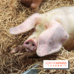 Salon de l'agriculture 2023 - 20230227155646 IMG 3928