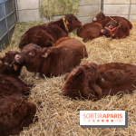 Salon de l'agriculture 2023