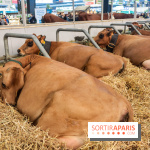 Salon de l'agriculture 2023