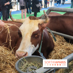 Salon de l'agriculture 2023