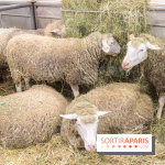 Salon de l'agriculture 2023