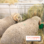 Salon de l'agriculture 2023