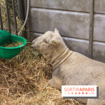 Salon de l'agriculture 2023 - 20230227153925 IMG 3901