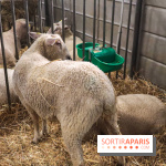 Salon de l'agriculture 2023