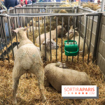 Salon de l'agriculture 2023
