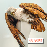 1997 Fashion Big Bang : l'exposition détonante du Palais Galliera - IMG20230303102448