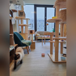 Le Moustache Pension - IMG20230206124953