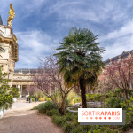 Petit Palais - Collection permanente  -  jardin