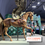 Saut Hermès - IMG 0930