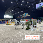 cheval - Saut Hermès - IMG 1015