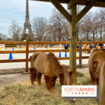 Saut Hermès - image00004