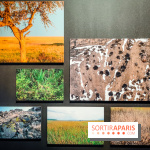 Félins, l'exposition qui nous fait craquer au Muséum national d'Histoire naturelle - photos - IMG20230321100948