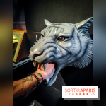 Félins, l'exposition qui nous fait craquer au Muséum national d'Histoire naturelle - photos - IMG20230321101734