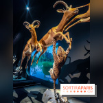 Félins, l'exposition qui nous fait craquer au Muséum national d'Histoire naturelle - photos - IMG20230321100846