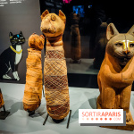 Félins, l'exposition qui nous fait craquer au Muséum national d'Histoire naturelle - photos - IMG20230321104649