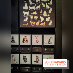 Félins, l'exposition qui nous fait craquer au Muséum national d'Histoire naturelle - photos - IMG20230321105055