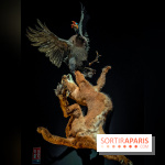 Félins, l'exposition qui nous fait craquer au Muséum national d'Histoire naturelle - photos - IMG20230321101126