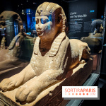 Félins, l'exposition qui nous fait craquer au Muséum national d'Histoire naturelle - photos - IMG20230321103615