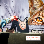 Félins, l'exposition qui nous fait craquer au Muséum national d'Histoire naturelle - photos