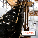 Dans l'air, les machines volantes, nos photos - IMG 8825