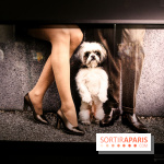 Elliott Erwitt, l'expo au Musée Maillol, nos photos - IMG 8903