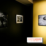 Elliott Erwitt, l'expo au Musée Maillol, nos photos - IMG 8926