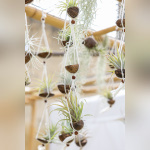 Les journées des plantes & Art  - 0S6A3398