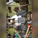 Les journées des plantes & Art  - 0S6A3584