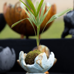 Les journées des plantes & Art  - 0S6A3911