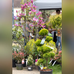 Les journées des plantes & Art  - 0S6A4145