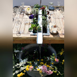 Les journées des plantes & Art du Jardin à Blandy-les-Tours - JourneePlantesBlandy 157©CDesheulles