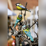 Les journées des plantes & Art du Jardin à Blandy-les-Tours - JourneePlantesBlandy 204©CDesheulles