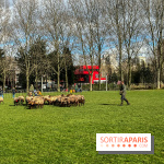 Transhumance à la Villette - 188F770F E171 4E30 91B1 9AEE8A13CE61