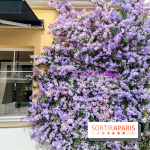 La Vallée Village - 632CCB62 18A2 4184 809C A3844C7CA142