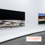 Anna-Eva Bergman, nos photos de l'expo à Paris