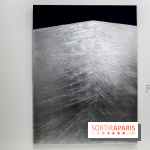 Anna-Eva Bergman, nos photos de l'expo à Paris