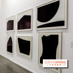 Anna-Eva Bergman, nos photos de l'expo à Paris