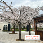 Dream Castle Hôtel, le 4**** familial à côté de Disneyland - A7C6F793 42AD 49DD A086 A805320B08E8