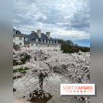 Dream Castle Hôtel, le 4**** familial à côté de Disneyland - 313FFED8 FA4A 405C 8600 63A554BF8DDD