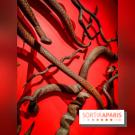 Songlines, l'exposition du musée du Quai Branly qui nous plonge dans les légendes australiennes  - IMG20230403104036