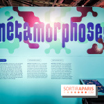 Métamorphoses, l'exposition poétique à découvrir à la Cité des Sciences et de l'Industrie