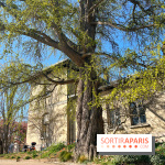 Le Jardin des Serres d'Auteuil - IMG 1492