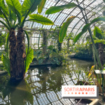 Le Jardin des Serres d'Auteuil - IMG 1542