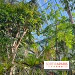 Le Jardin des Serres d'Auteuil - IMG 1552