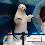 Aquarium Sea Life - IMG 8401