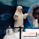 Aquarium Sea Life - IMG 8402