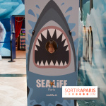 Aquarium Sea Life